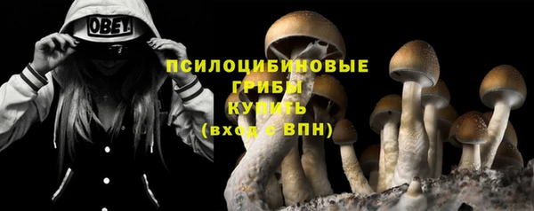 прущий лед Балахна