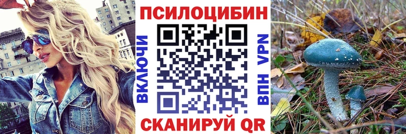 наркотики  Нурлат  Псилоцибиновые грибы Magic Shrooms 